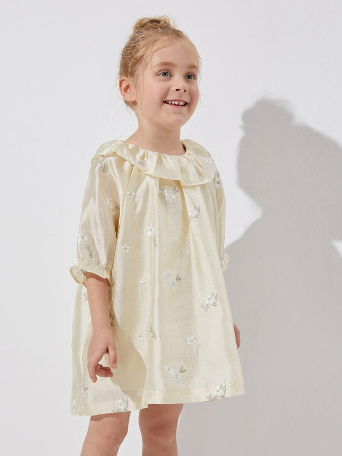 Toddler Girls Ruffle Detail Embroidery Floral Organza Dress
