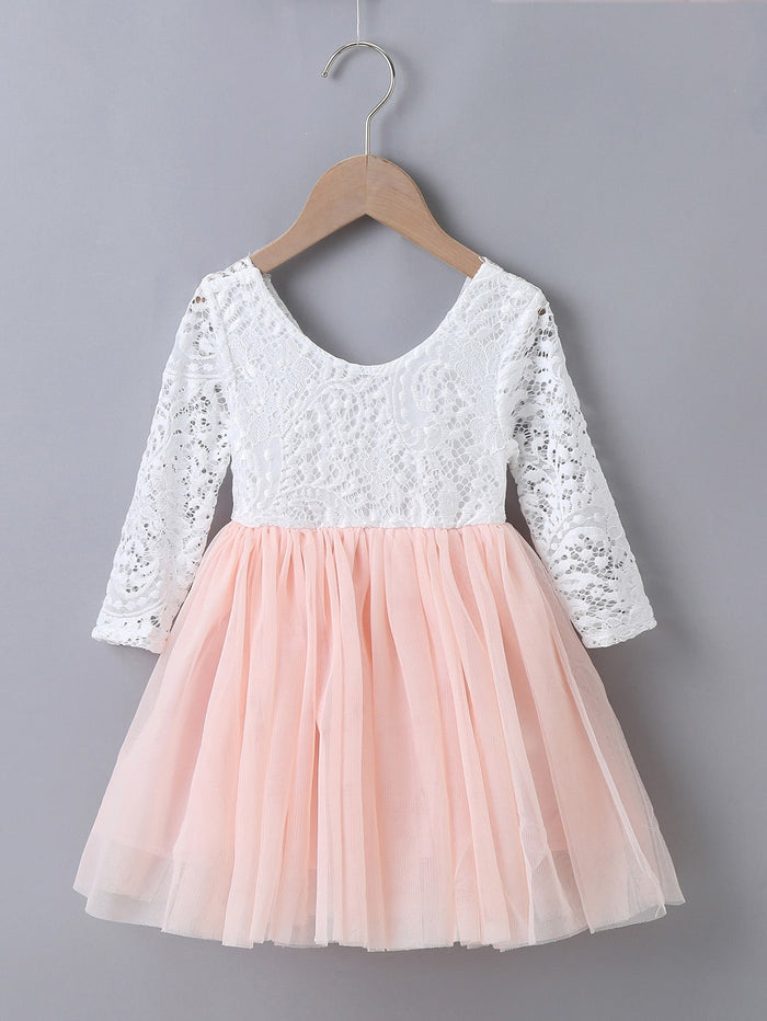 Toddler Girls Lace Bodice Mesh Hem Dress