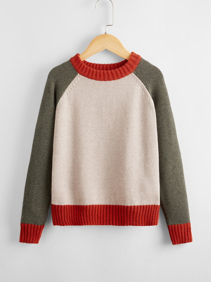 Boys Raglan Sleeve Colorblock Sweater