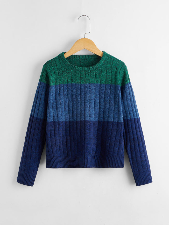 Boys Colorblock Ribbed Knit Sweater