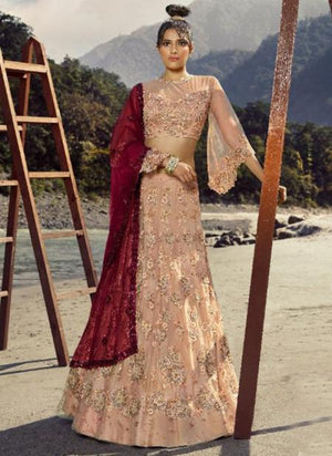 Pink Net Bridal Wear Embroidery Work Lehenga Choli